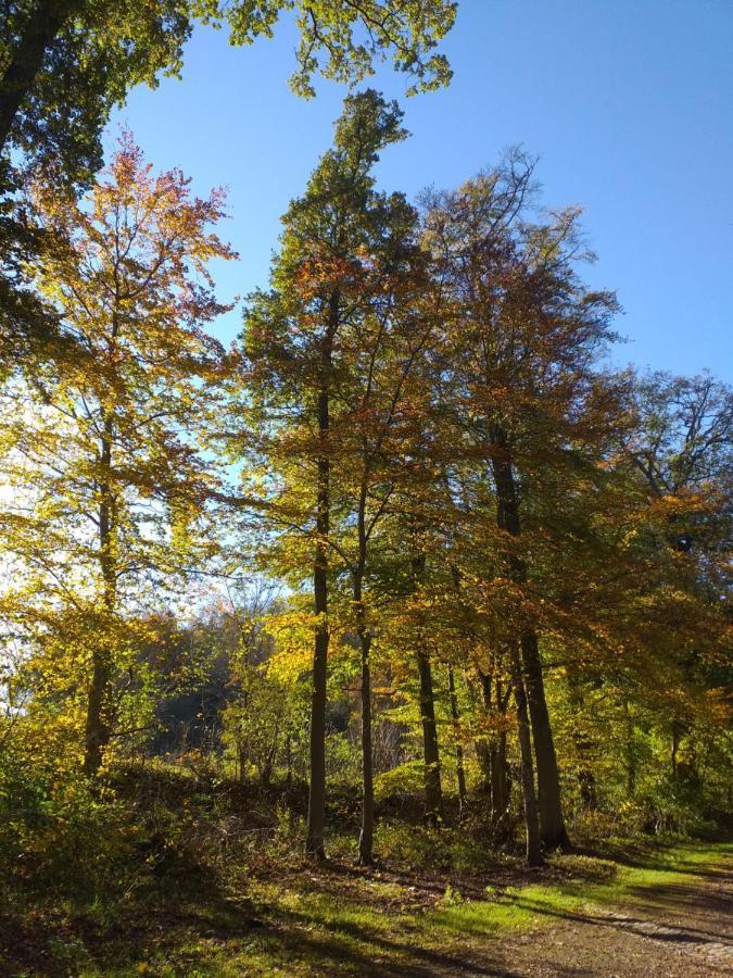 Eifelverweiler Weiler  エクステリア 写真