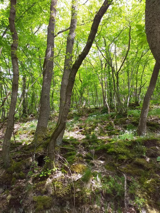 Eifelverweiler Weiler  エクステリア 写真