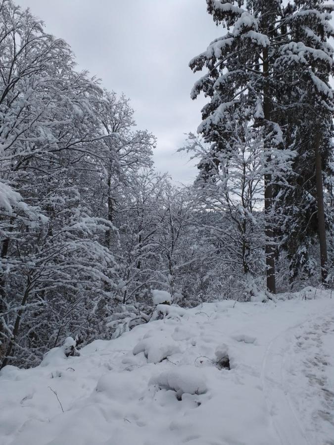 Eifelverweiler Weiler  エクステリア 写真