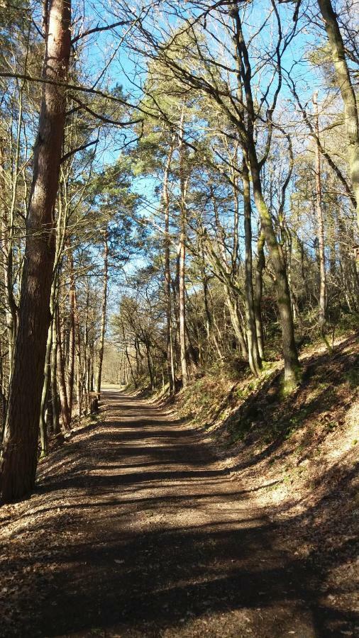 Eifelverweiler Weiler  エクステリア 写真